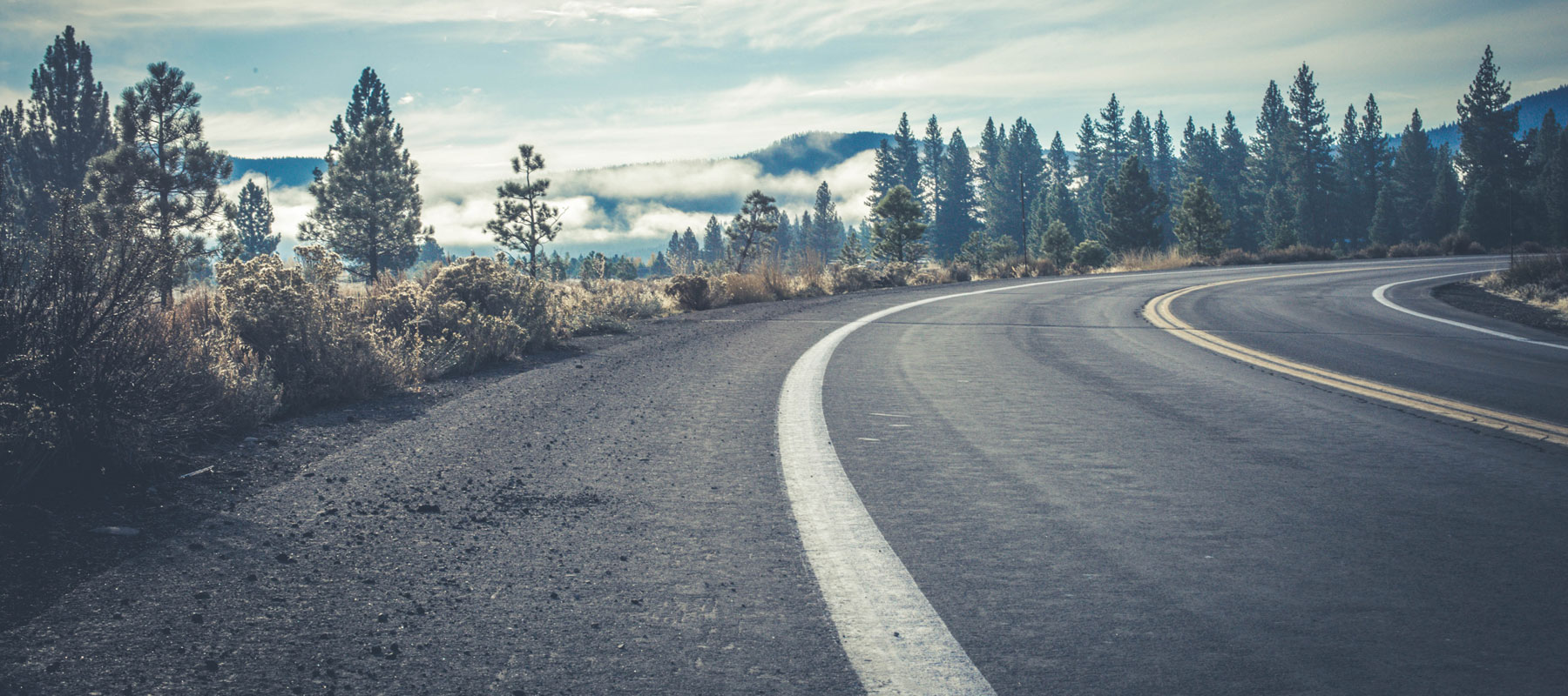 Roadside